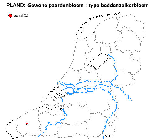 beddenzeikerbloem